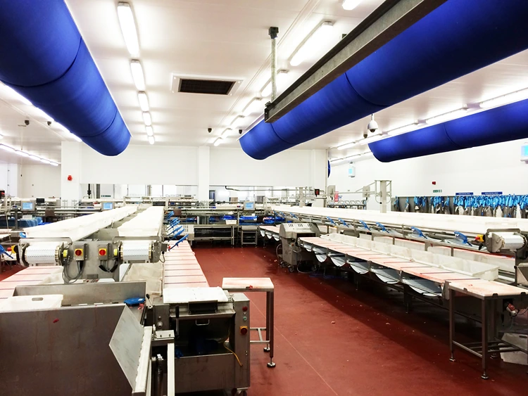 Hygienelüftung Lebensmittelbereich