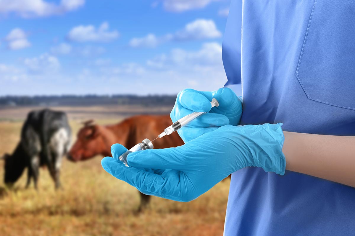 Veterinary Medicines