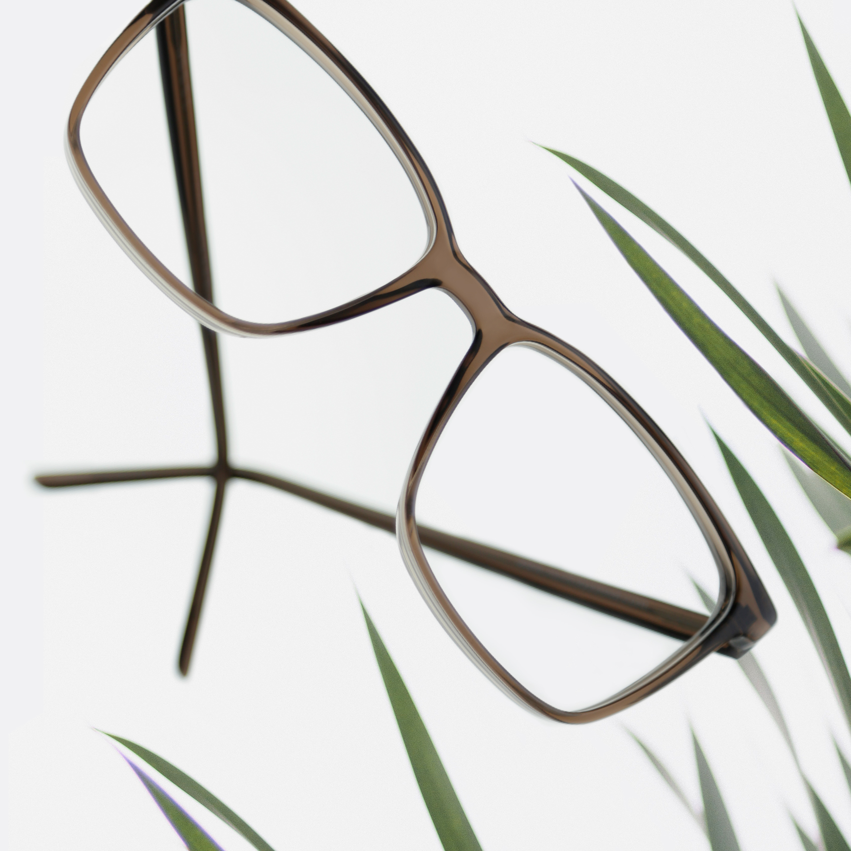 Brille aus ECO Acetat