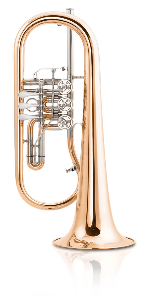 Instrumentendetails und Verarbeitung