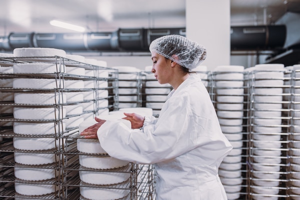Mitarbeitende in der Weichkäseproduktion im Reiferaum am Hauptsitz Lauben