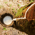 Polstermaterial Naturlatex