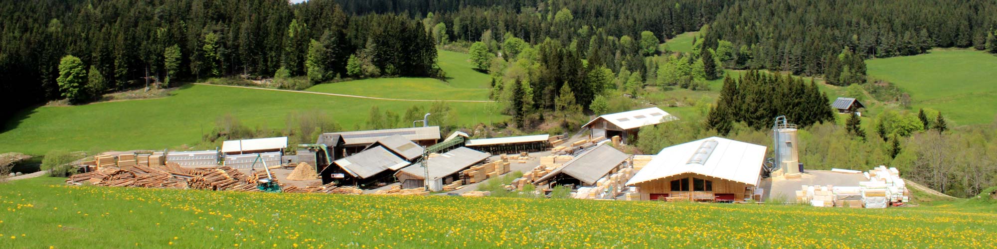 Rombach sawmill in Schonach