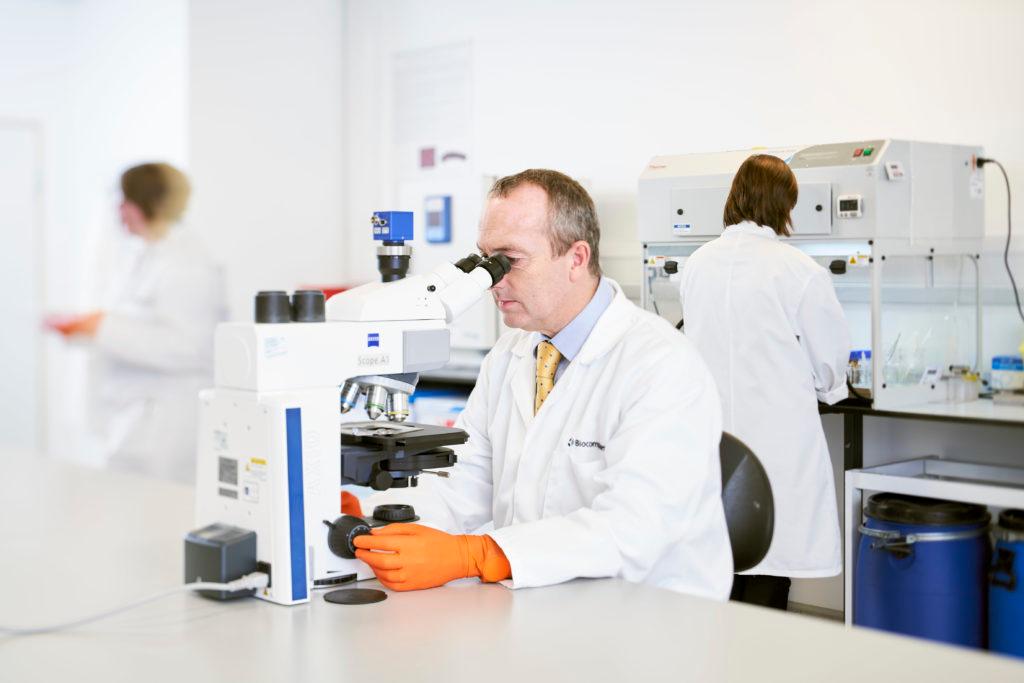 Schwerpunkt Kalziumverbindungen und Spezialpolymere