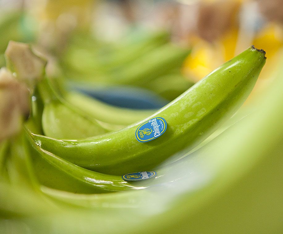 Chiquita Banana Brand – Nachhaltigkeit