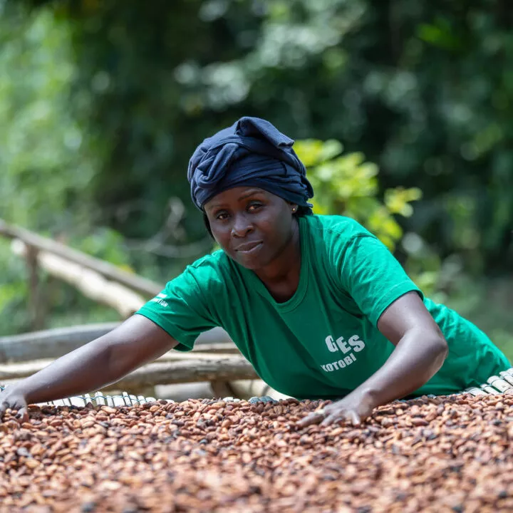 Fairtrade-Kakao-Kooperative in Côte d'Ivoire