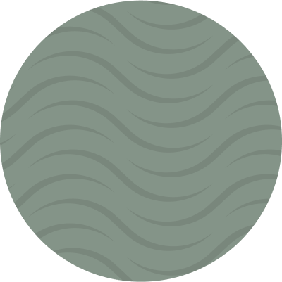 Seashells