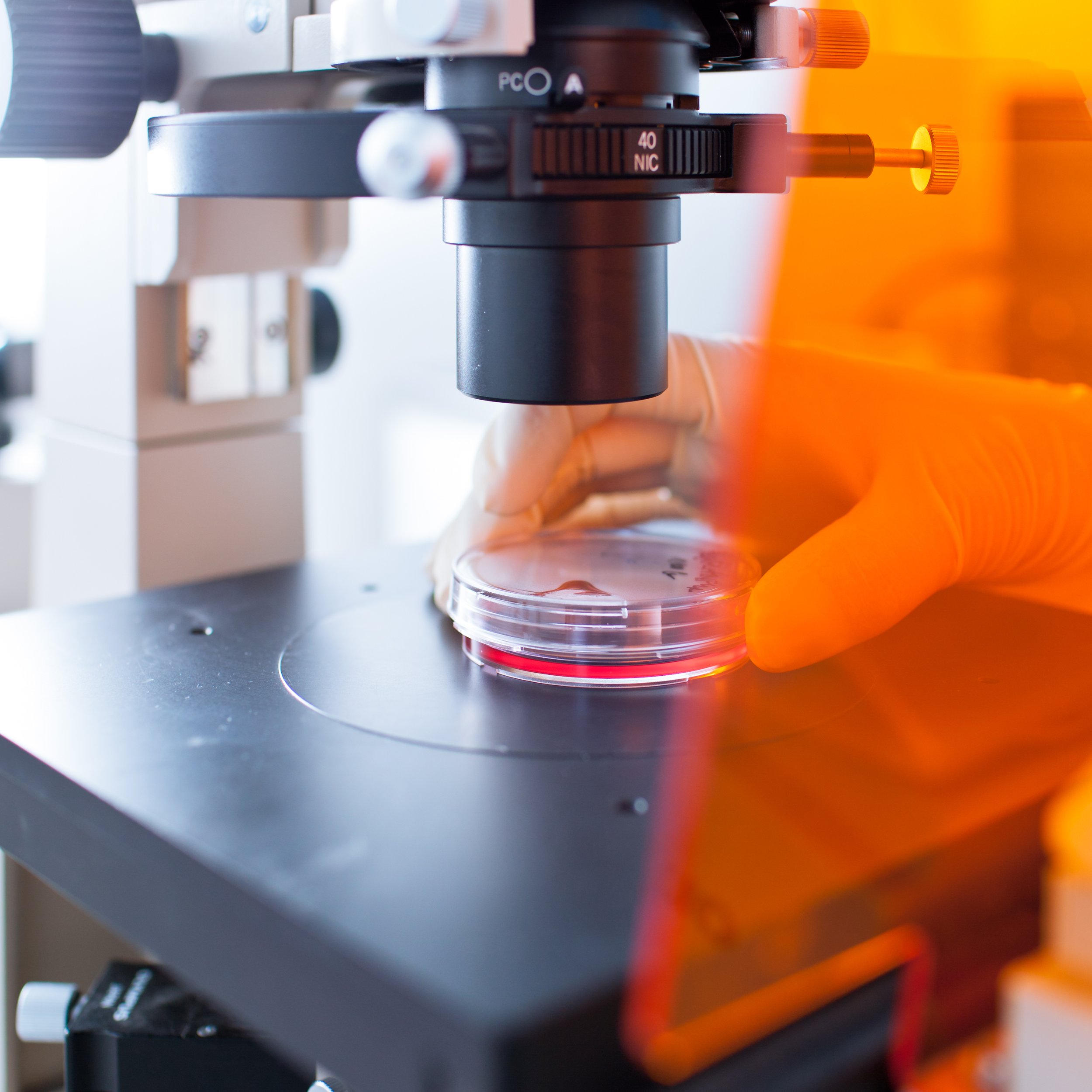 R&D Capabilities