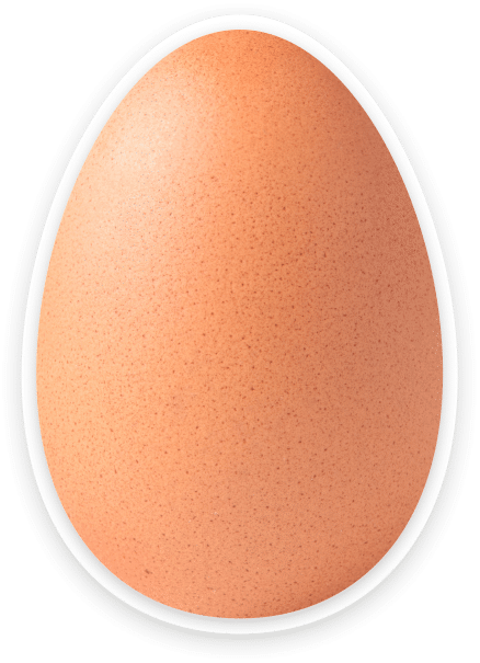 Frisches Ei