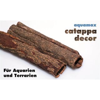 aquamax catappa decor