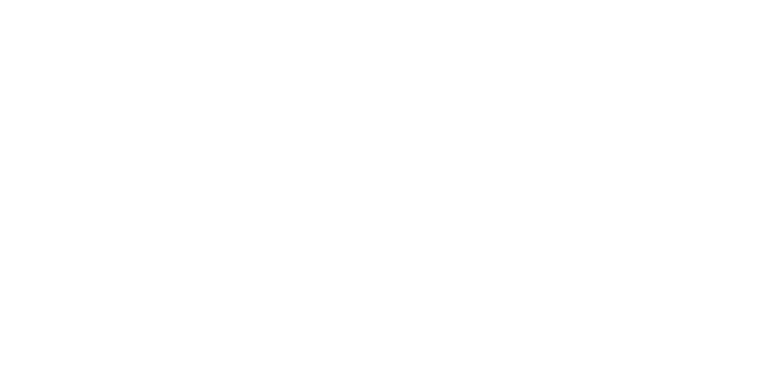 nanopal