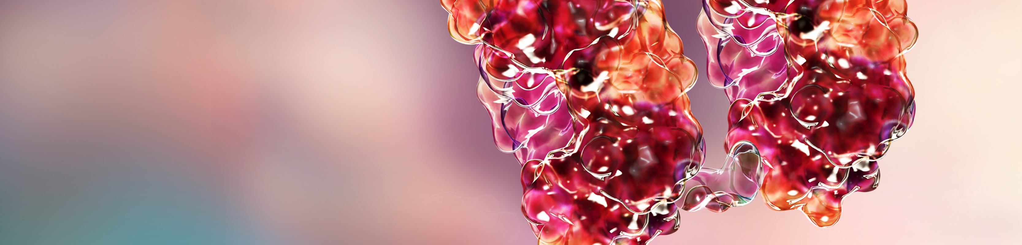 Plasmid-DNA und rekombinante Proteine