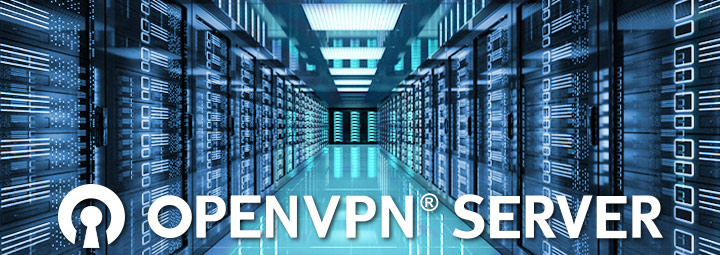 OpenVPN Connectivity Server