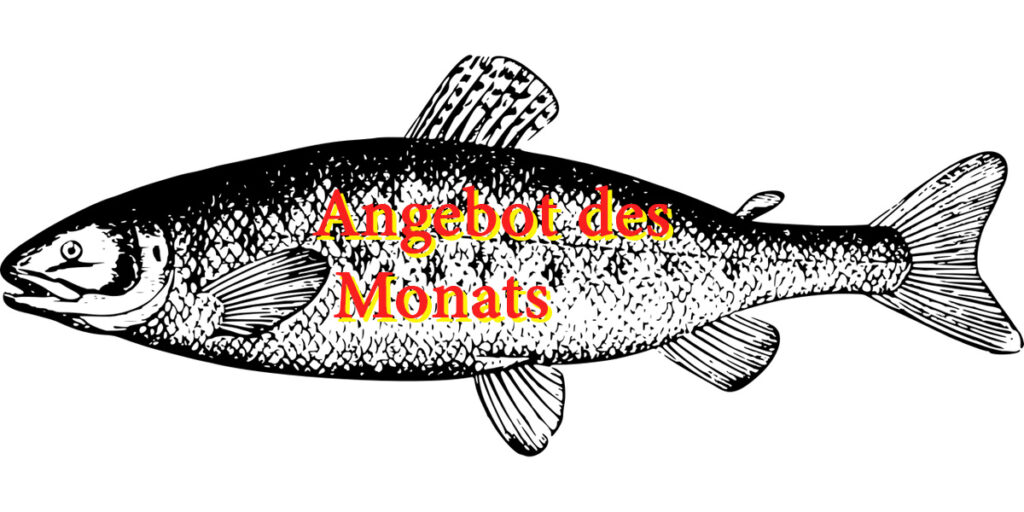 Angebot des Monats