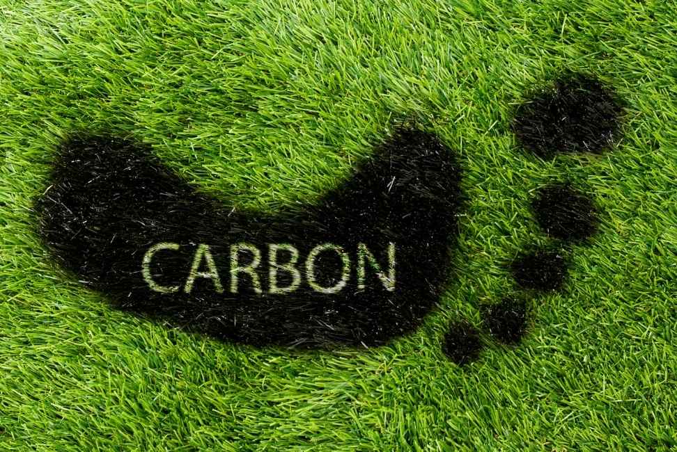 Carbon Footprint 2023