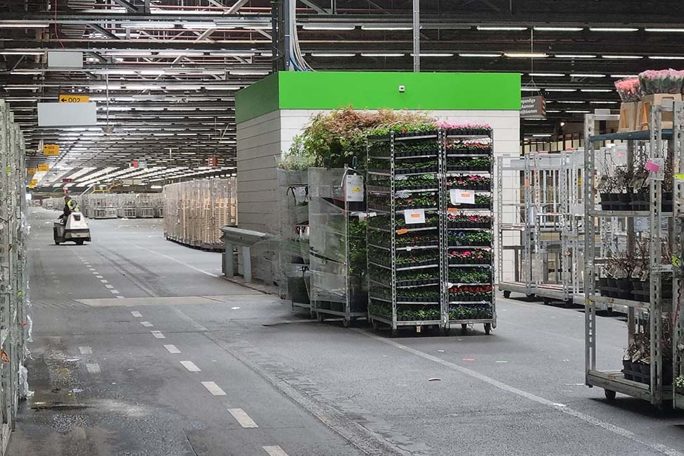 Royal FloraHolland verlängert Partnerschaft mit Veko