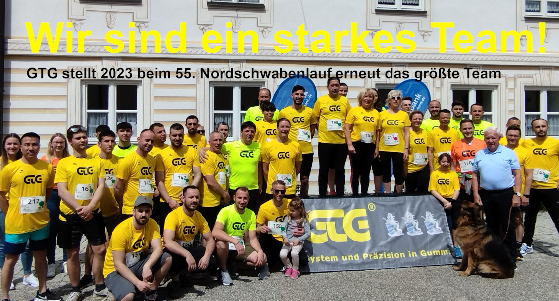 Team GTG beim Nordschwabenlauf 2023