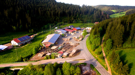 Holzbearbeitung im Sägewerk