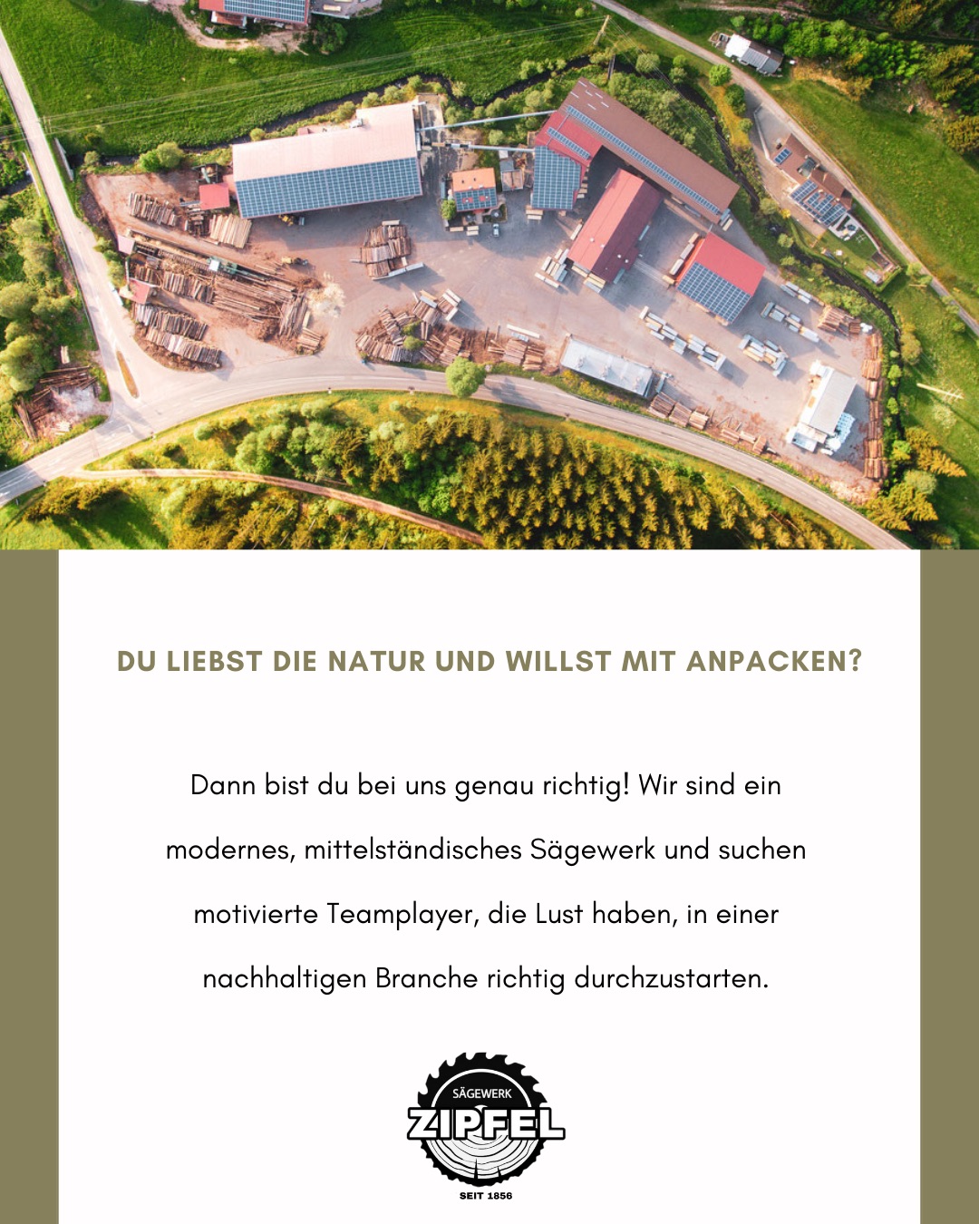 Bauholz festigkeitssortiert (C16/C24/C30)