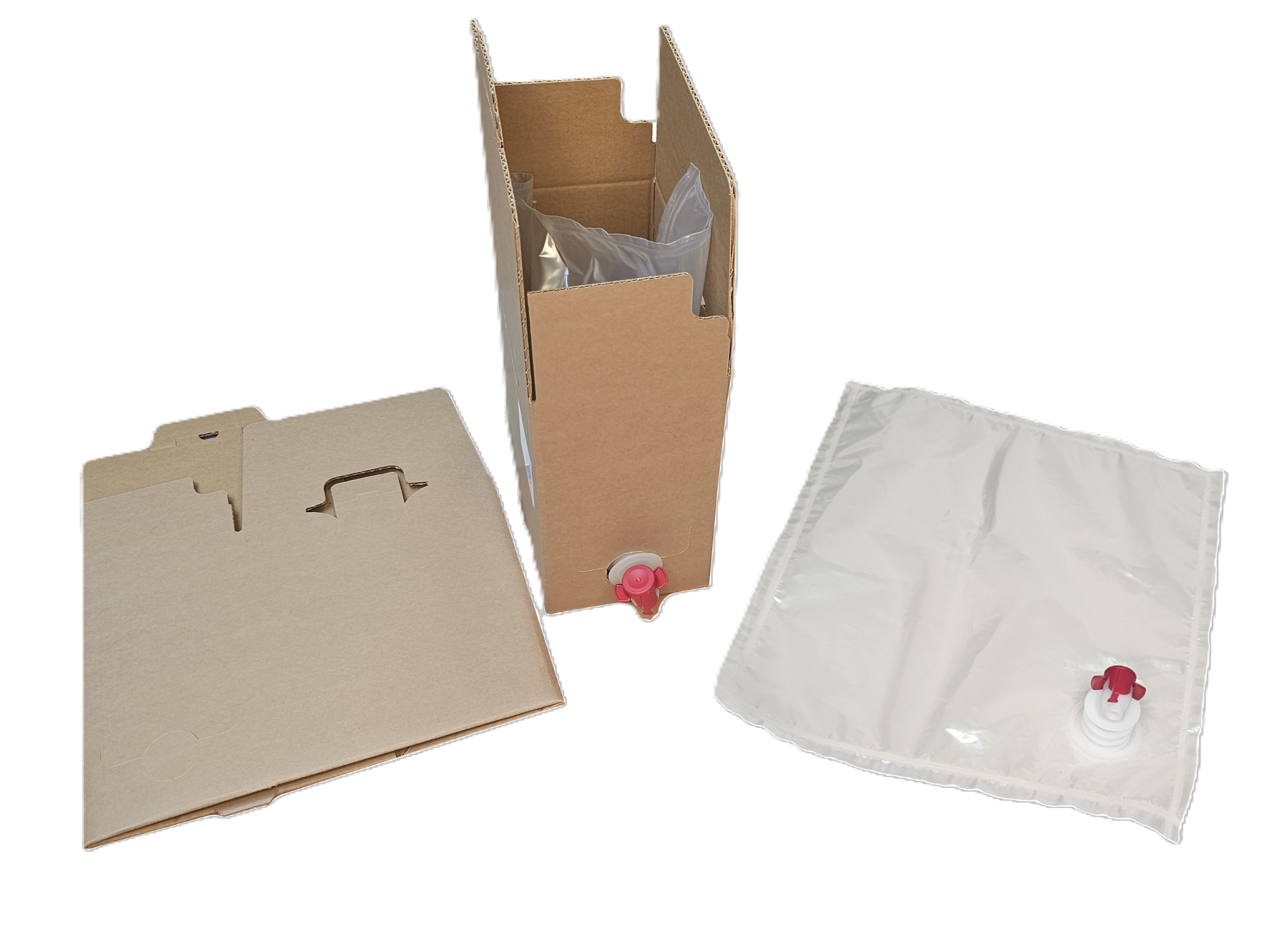 Bag-in-Box-Verpackung