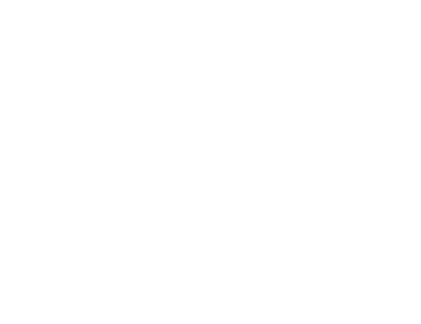 Delta Druck Logo