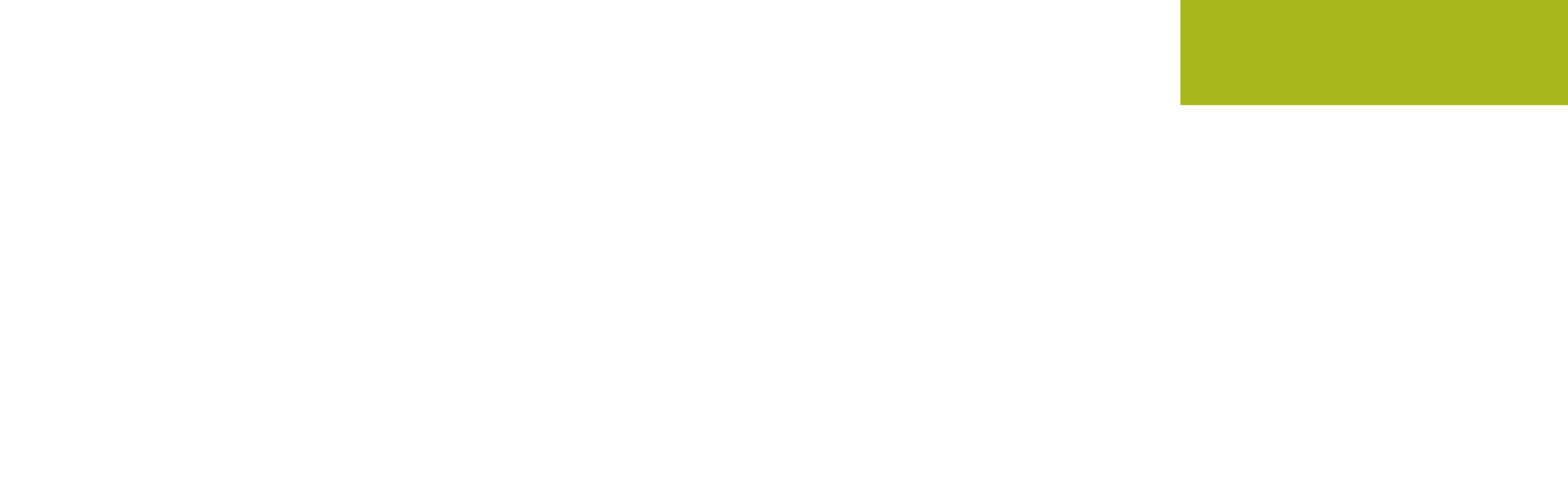 FEST Logo