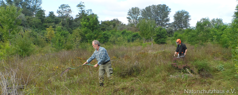 Maintenance work in the field