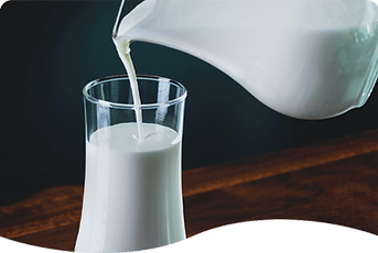 SOMA Sinuspumpen für Molkereiprodukte