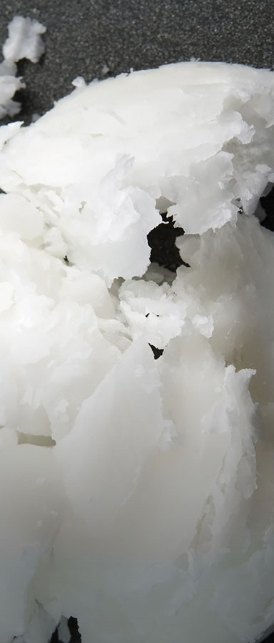 Ingredients – Rohstoffe von reiner Qualität