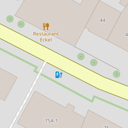 Vor-Ort- und Fernwartungsservice