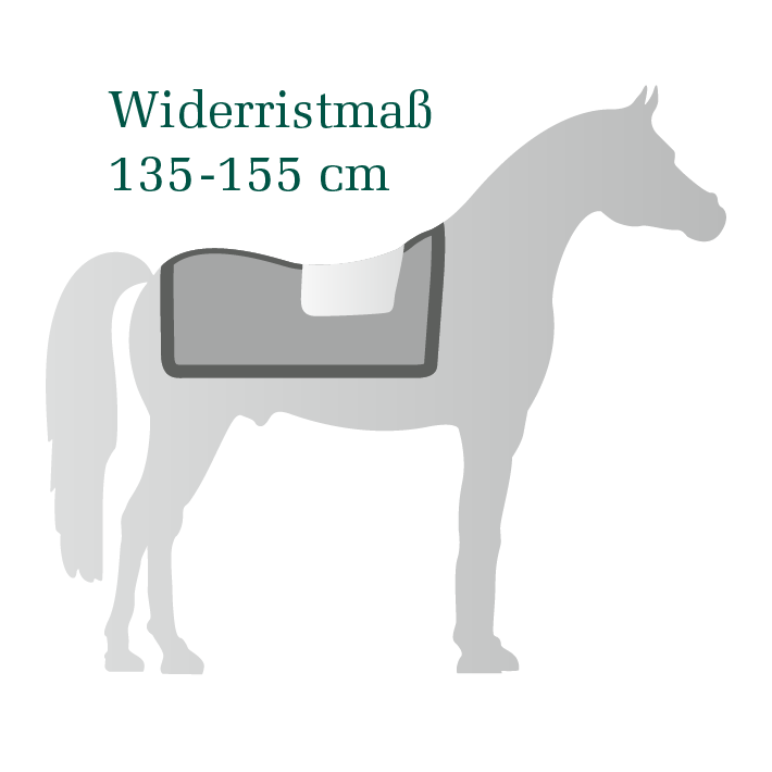 Stable blankets