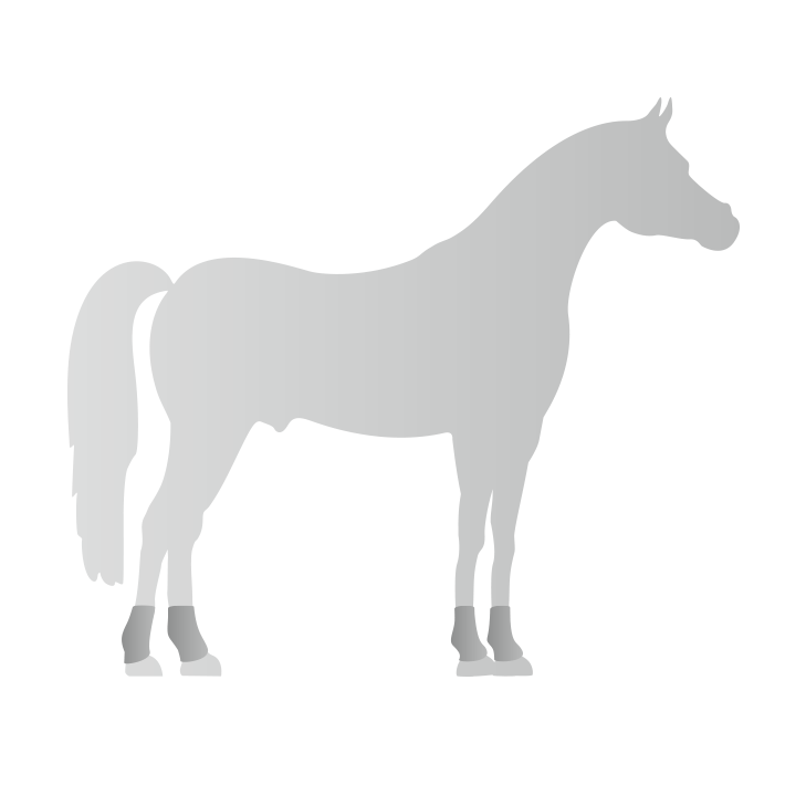 Fetlock and joint protectors