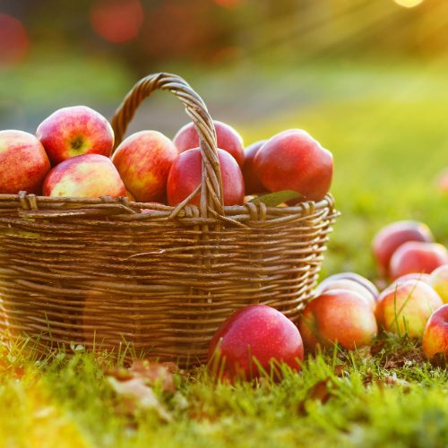 Fruchtsäfte, Nektare und Fruchtsaftgetränke