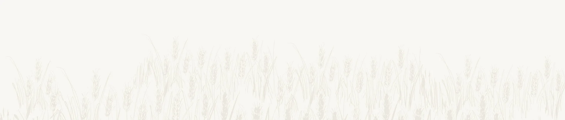 Rice (Irri-6, Basmati, 1121)