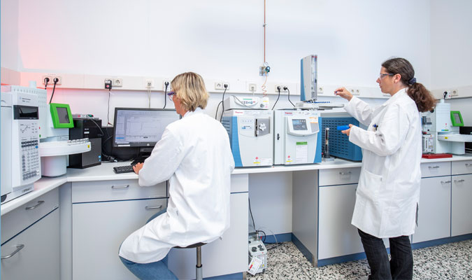 Analytische Entwicklung