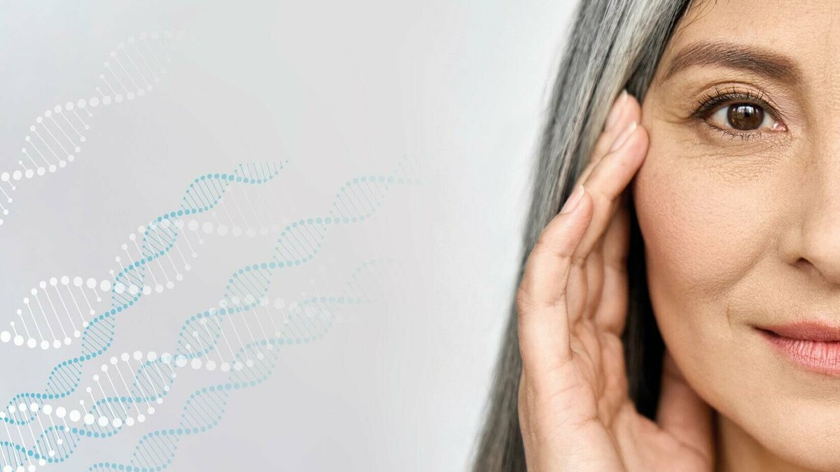 epiAge-Test, biologische Altersmessung