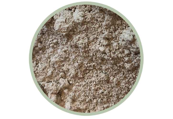 Agro Balance – Pansenpuffer aus Rotalgen