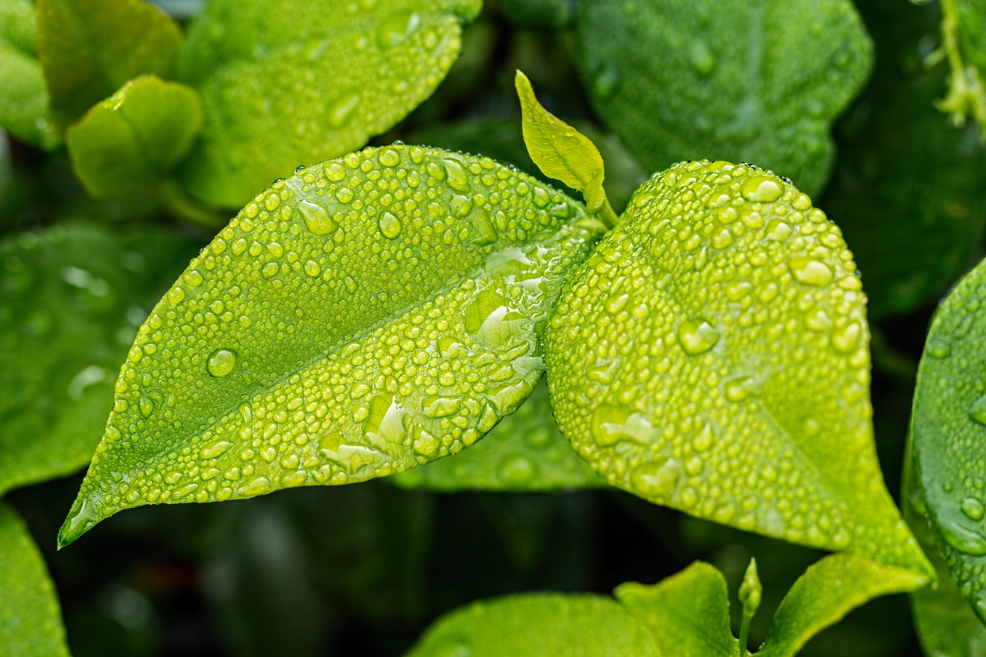 Geothermal energy and the heat transition