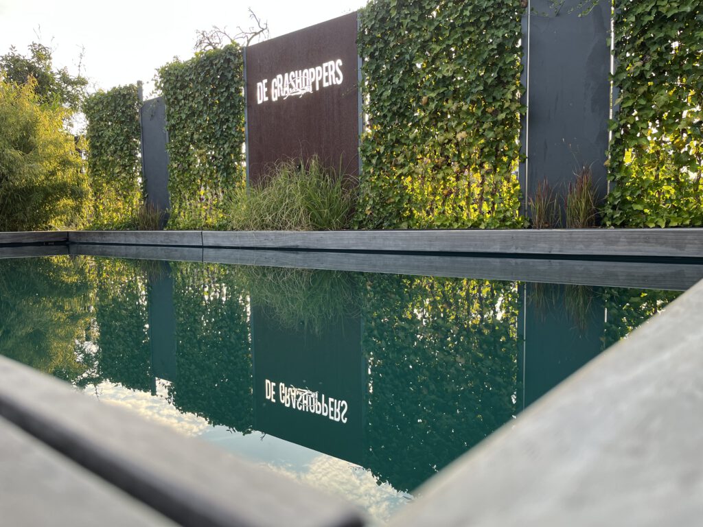 Naturpool mit Holzdeck und Sichtschutz