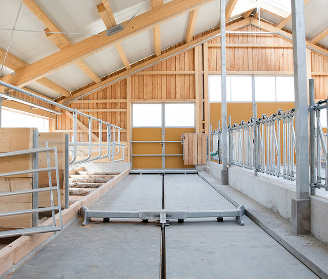 Stall Reitdorf
