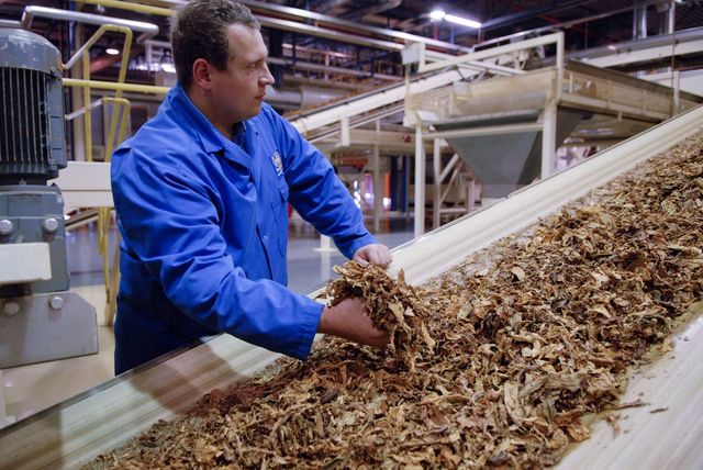 Anwendungen in der Tabakindustrie