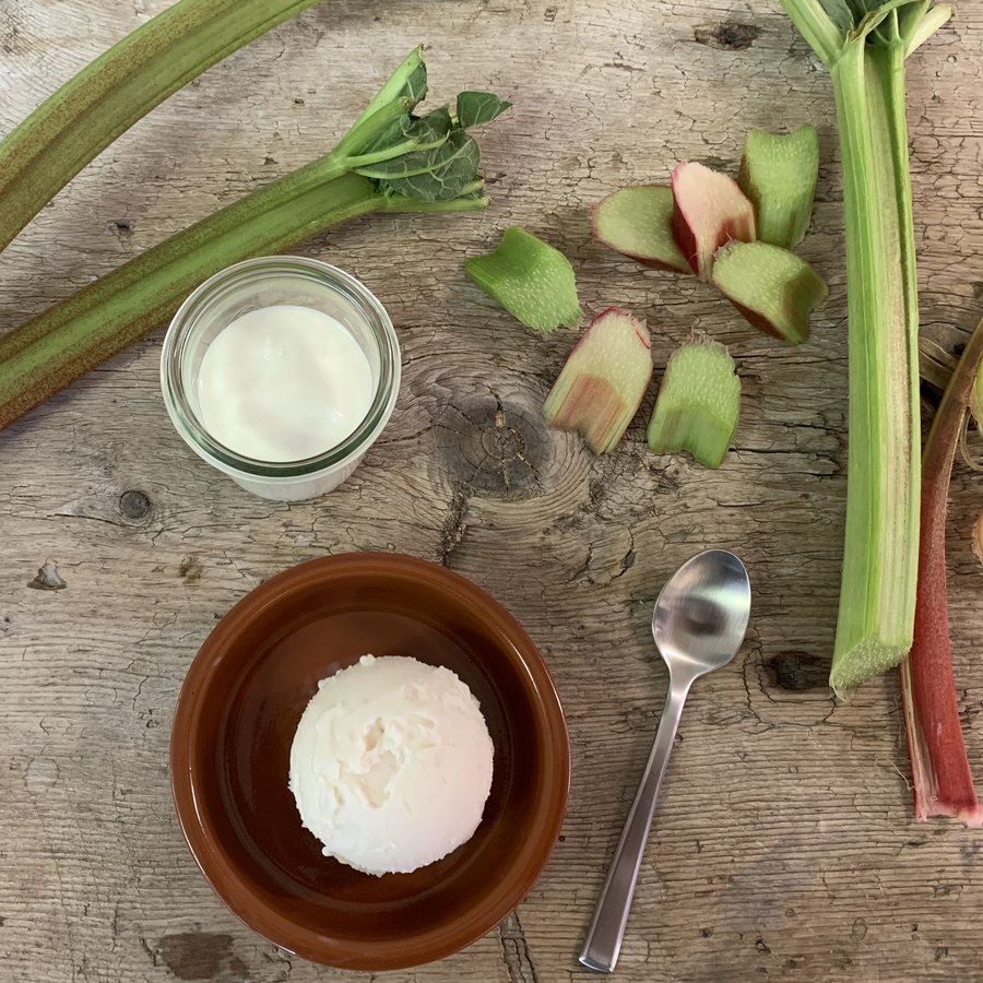 Bio Joghurt Rhabarber