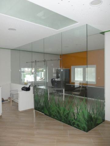 Glaswand mit Glasmotiv-Druck