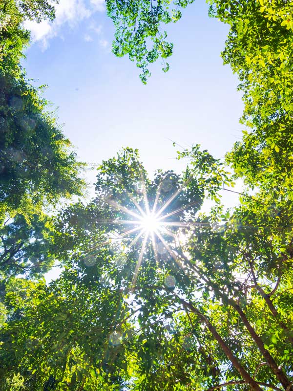 Betrieb von PV-Parks zur öffentlichen Energieversorgung