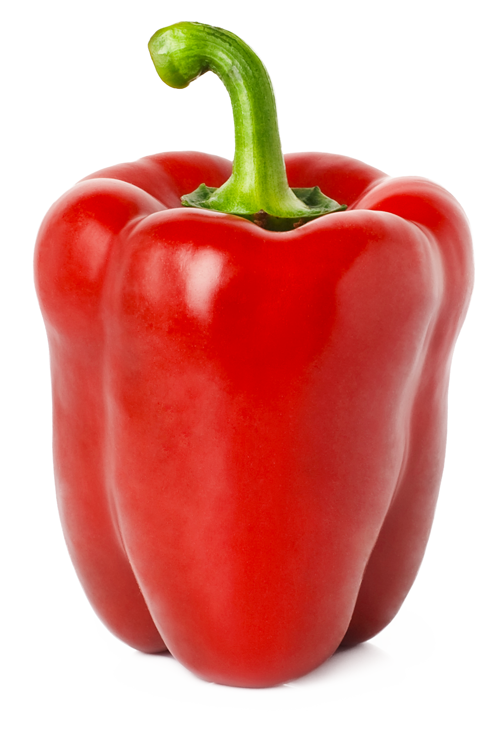 Paprika