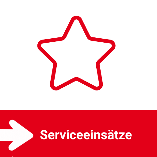 Serviceeinsätze: Inbetriebnahme, Wartung, Reparatur