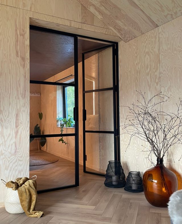 Steel door with slim profiles (industrial style)