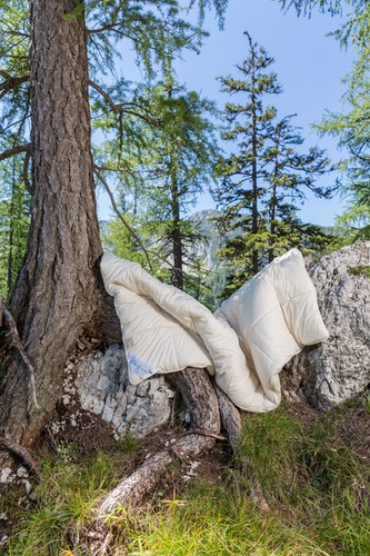 Die Schützende Naturauflage