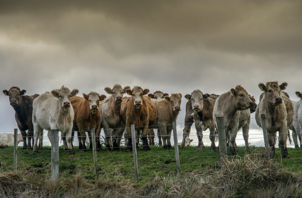 Landwirtschaftlicher Kontext der Biogasnutzung