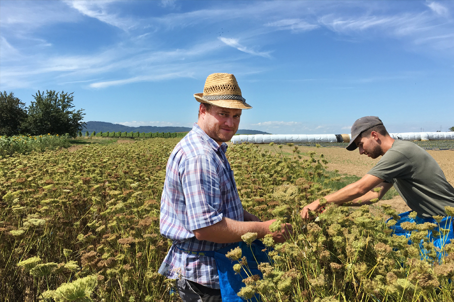 Landwirtschaft und Hof